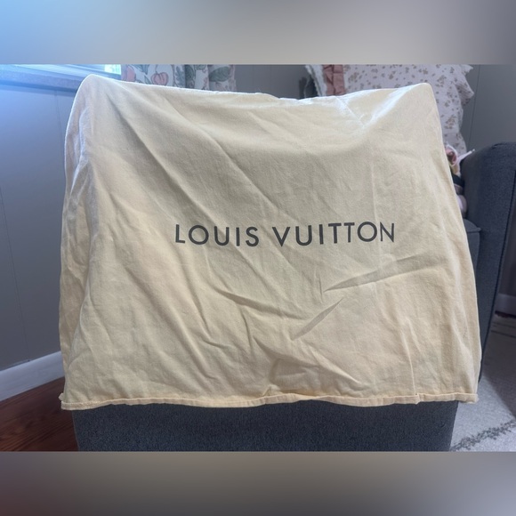 Stunning Louis Vuitton Damier Ebene Tote - Barely used - Picture 10 of 15